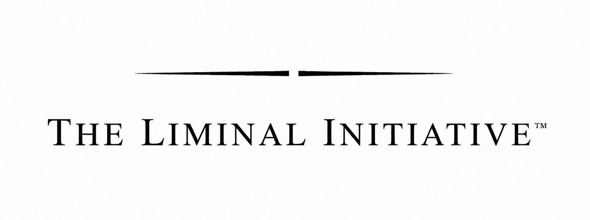 The Liminal Initiative™ | Decision-Making Research Under Pressure Where decisions are made